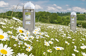 Image showing two parking meters placed in the middle of a blooming meadow full of white daisies / Bilde som viser to parkeringsautomater plassert midt i en blomstrende eng full av hvite tusenfryd.